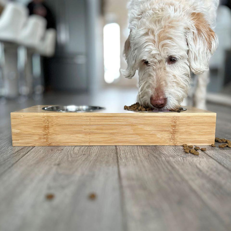 Personalized Dog and Cat Feeding Stands with Bowls - Large - Completeful