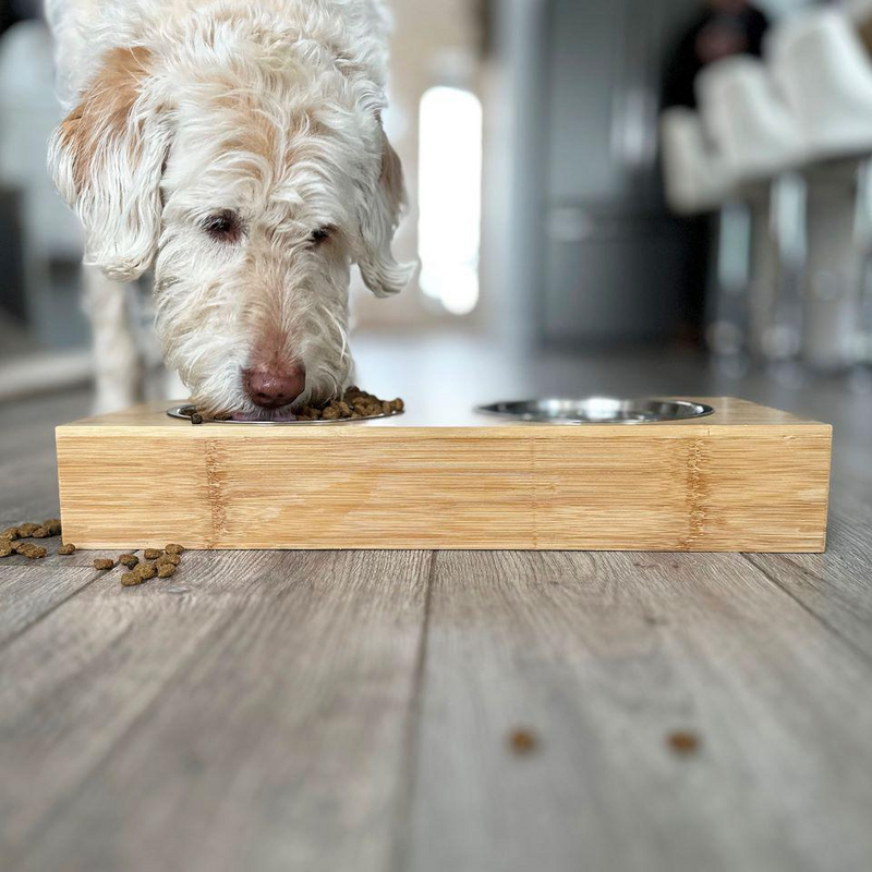 Personalized Dog and Cat Feeding Stands with Bowls