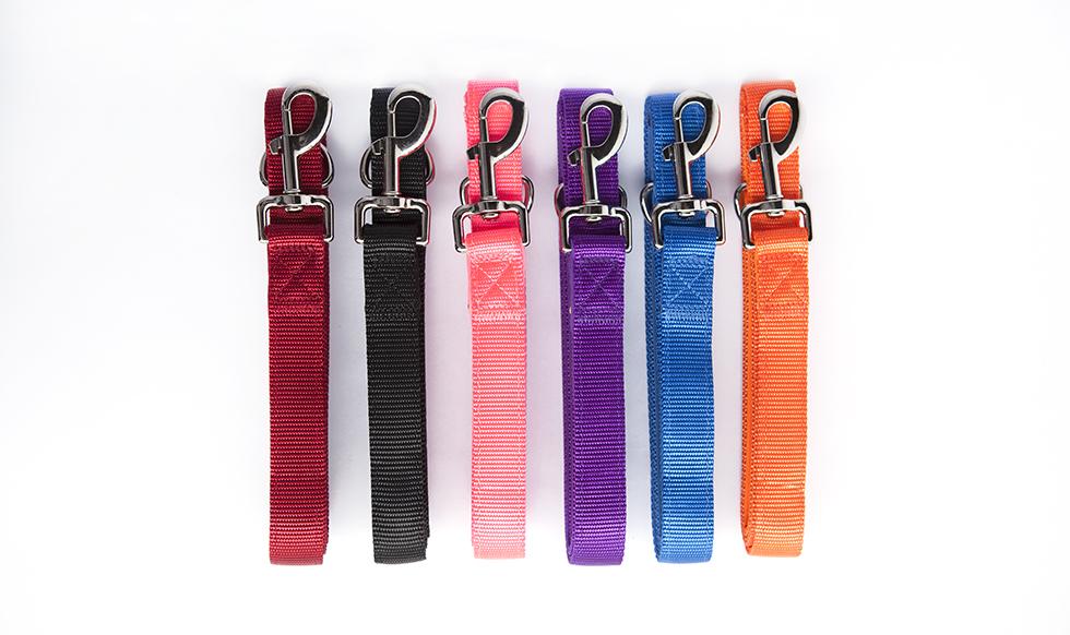 Qualtry store dog collars